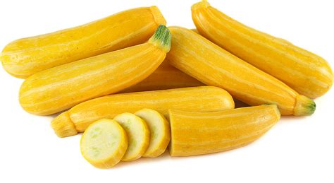 Goldmine Zucchini Squash Information And Facts