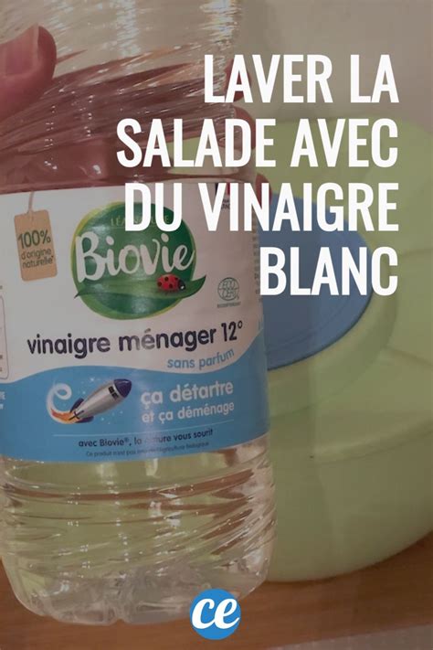 Comment Laver la Salade Avec du Vinaigre Blanc pour Économiser l Eau