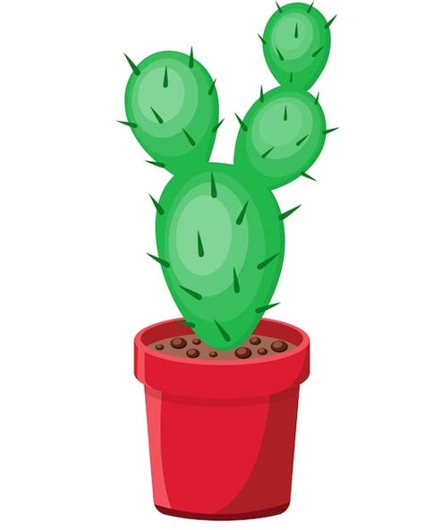 Premium Vector Beautiful Natural Cactus In Red Pot Vector