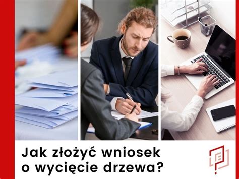 Pozwolenie Na Wycink Drzewa Lub Krzewu Wz R Doc Wroc Aw