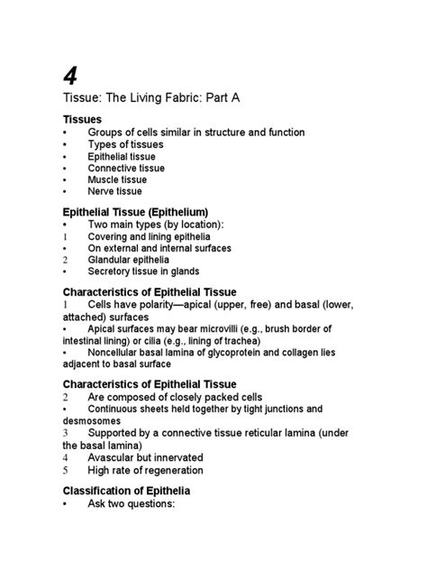 Pdf Ch 04 Lecture Outline A Anatomy Physiology Dokumen Tips