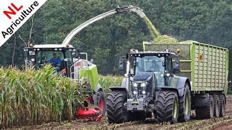 Mais Hakselen Claas Jaguar 960 Claas Axion 850 Black Edition