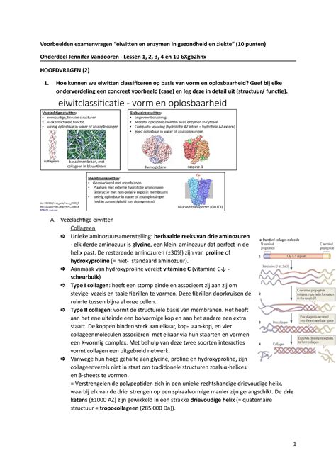 Voorbeelden Examenvragen JV Voorbeelden Examenvragen Eiwitten En