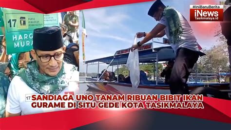 Sandiaga Uno Tanam Ribuan Bibit Ikan Gurame Di Situ Gede Kota