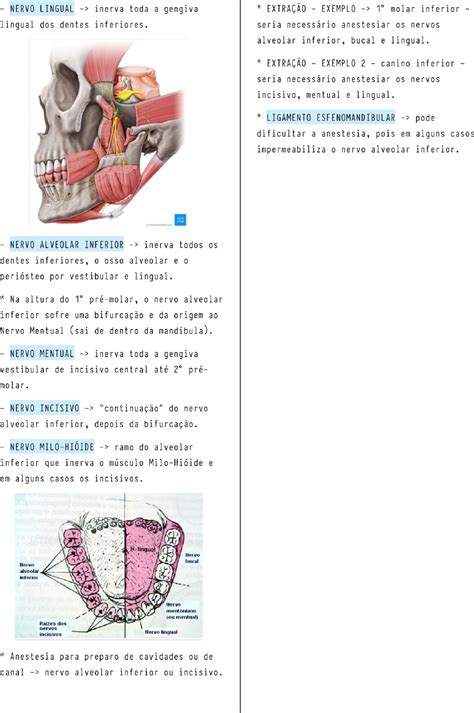 Resumo De Nervo Trigêmeo 2 Anatomia De Cabeça E Pescoço