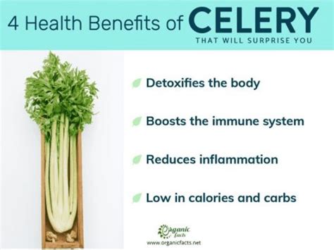 11 Incredible Celery Benefits & Nutrition Facts