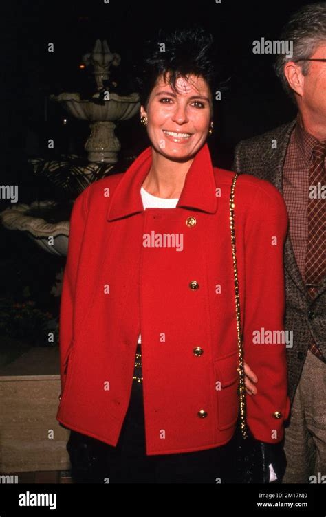 Tina Sinatra 1989 Credit Ralph Dominguezmediapunch Stock Photo Alamy