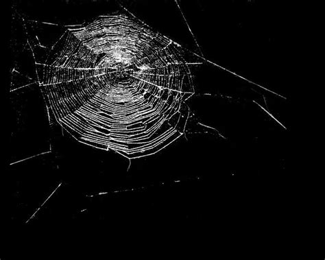 1920x1080px 1080p Free Download The Cobweb Goth Cobweb Gothic