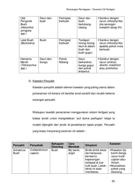 Contoh Kertas Kerja Rancangan Perniagaan Online Wesuser