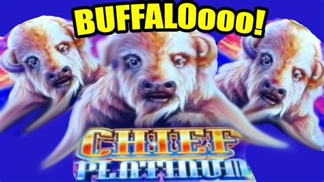 Buffalo Chief Platinum White Buffalo Game Las Vegas Baby Youtube