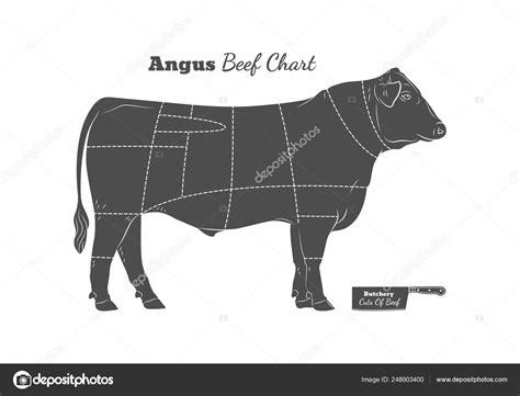 Beef Cow Butcher Meat Shop Logotype Sign Calf Bull Angus Stock Vector ...