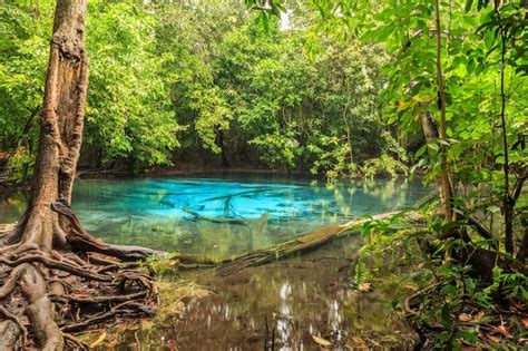 The Most Spectacular National Parks In The Dominican Republic