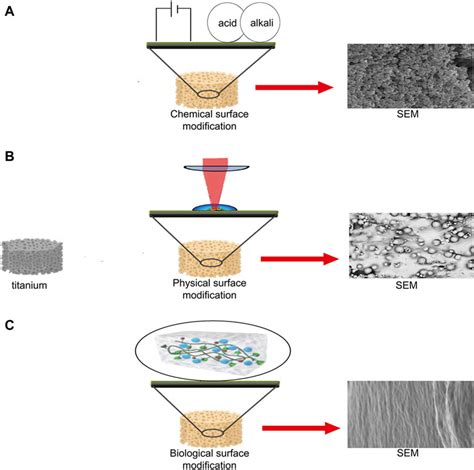 Frontiers Advanced Surface Modification For D Printed Titanium Alloy