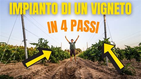 GUIDA COMPLETA In 4 PASSI Per L IMPIANTO DI UN VIGNETO Lavorazioni