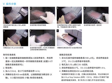 细胞增殖检测（cck 8法） 易泽生物科技（上海）有限公司