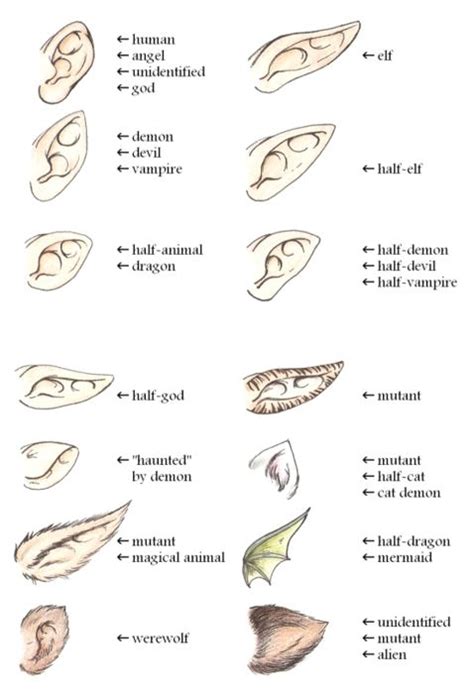 A Guide To Ears By Yumenegari Elf Drawings Art Reference Poses Art