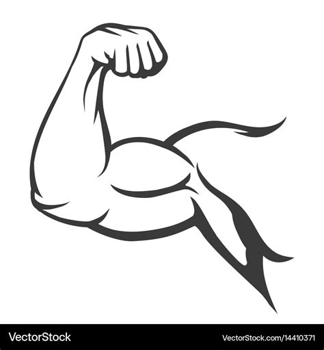 Bodybuilder muscle flex arm Royalty Free Vector Image