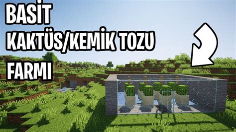 🦴 Basİt Kaktüs Kemik Tozu Farmı Minecraft 🦴 Simple Cactus Bone Meal