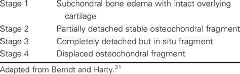 Classification of Osteochondral Lesions | Download Table