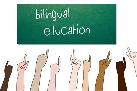 The Rise Of Bilingual Education In Schools Établissement Scolaire