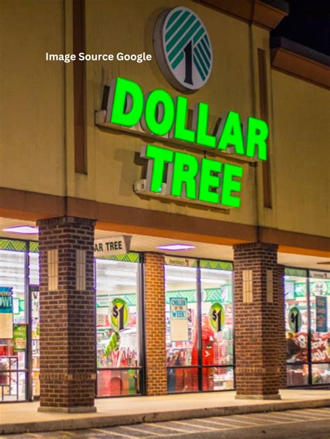 10 Best New Items Coming To Dollar Tree In 2024 Statanalytica