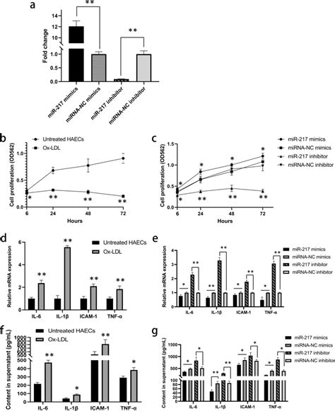 Mir 217 Knockdown Inhibits Cell Proliferation And Increases Levels Of