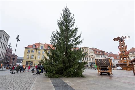 Do świąt coraz bliżej Na Starym Rynku w Bydgoszczy stanęła już żywa