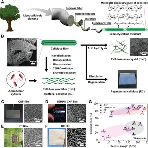 Nanocellulosebased Electrode In Transistors And Antennas A Schematic