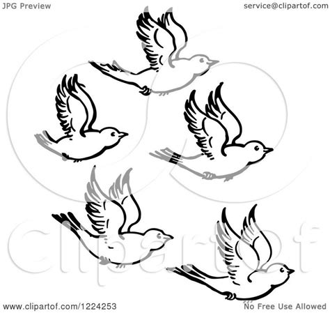 Flying Birds Clipart Black And White 10 Free Cliparts Download Images On Clipground 2024