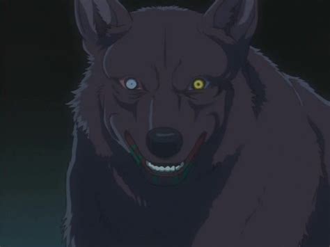 Wolves in Anime - Wolves Image (16961830) - Fanpop