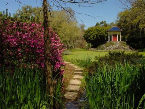 Avery Island, Louisiana: Jungle Gardens photo, picture, image