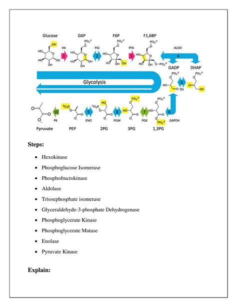 SOLUTION: Glycolysis 10 steps explained steps by steps with diagram ...