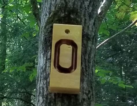 Orienteering Hike Dufferin Bruce Trail Club