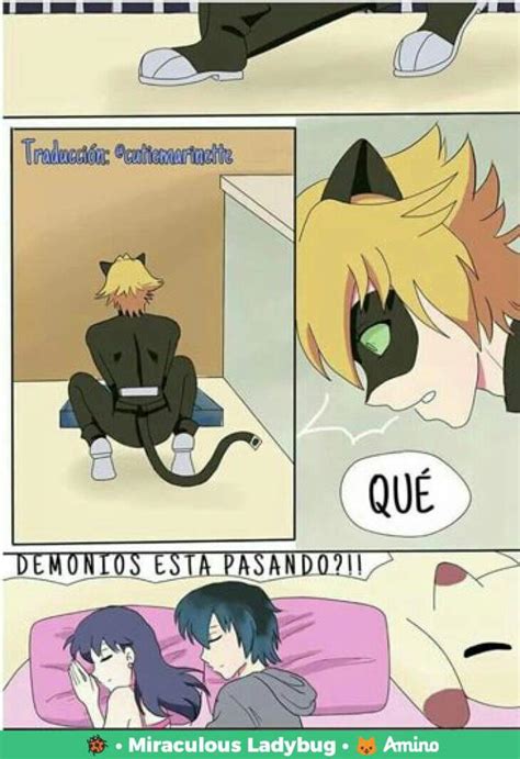 C Mic Gato Callejero Temporada Miraculous Ladybug Espa Ol Amino