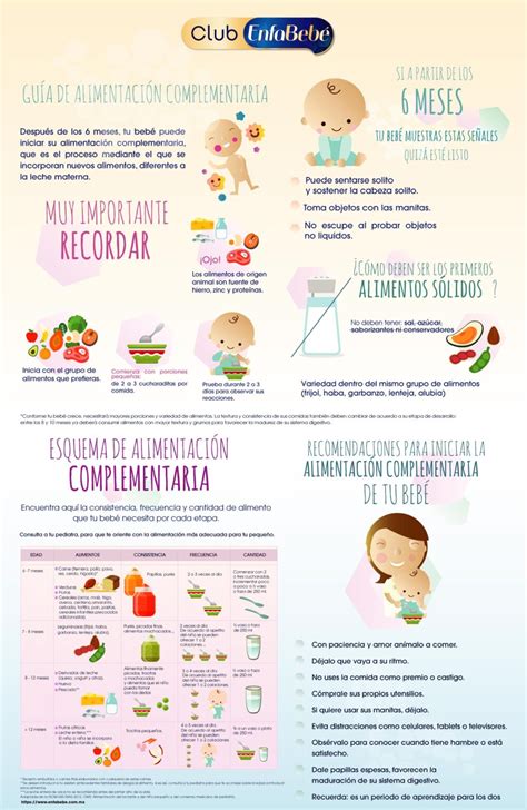 Esquema De Ablactación Guía Completa Para La Alimentación Del Bebé