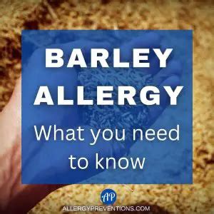 Barley Allergy: What You Need to Know - Allergy Preventions