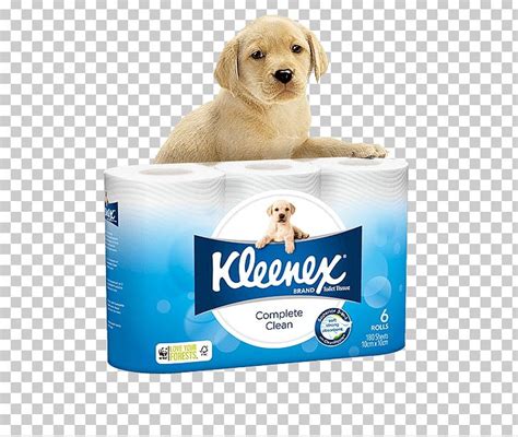 Kleenex Facial Tissues Toilet Paper Cottonelle PNG Clipart Bathroom