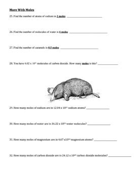 Introduction To The Mole Worksheet Set Dozens Pairs And Moles