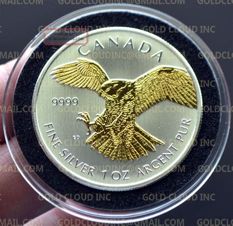 2014 Canadian Birds Of Prey Peregrine Falcon 1 Oz Gilded Silver Coin