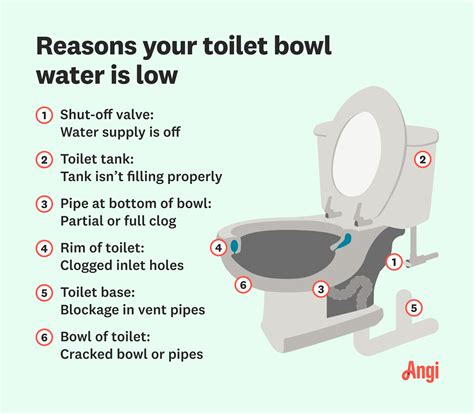Toilet Flush But Will Not Drain Why Does My Toilet Bowl Fill Up And