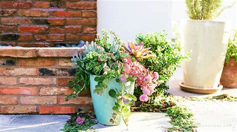 A Potted Plant Sitting On The Ground Next To A Brick Wall And Some Plants