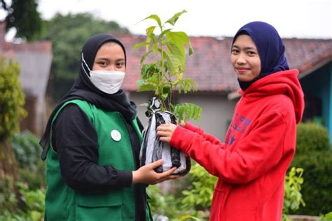 Top Charities To Donate Trees Trees Trees Tree Planting Donate