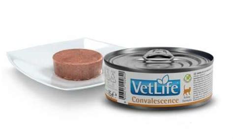 Farmina Vet Life Cat Convalescence Консервы для кошек после болезни ...