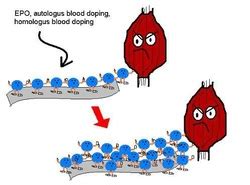 Homeostatic Imbalances Blood