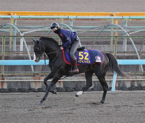 【天皇賞・秋】イクイノックスは坂路からbダートコースを流して調整 柔らかい身のこなし光る スポーツ報知