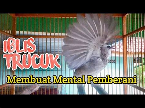 Iblis Trucuk Membuat Mental Pemberani Youtube