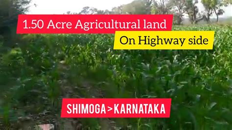 Acre Agricultural Land On Highway Frontage For Sale Shimoga