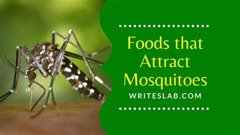 Foods That Attract Mosquitoes The Writeslab