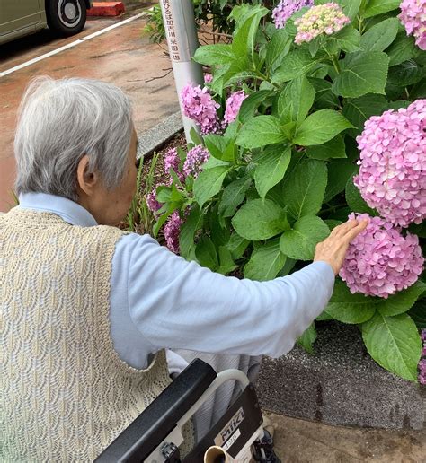 老健リハビリより～季節を感じられる作業活動のひとコマ～｜お知らせ｜社会福祉法人 明石恵泉福祉会