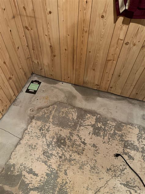 Damp Basement Floor is this cause for concern? It’s damp not wet : r